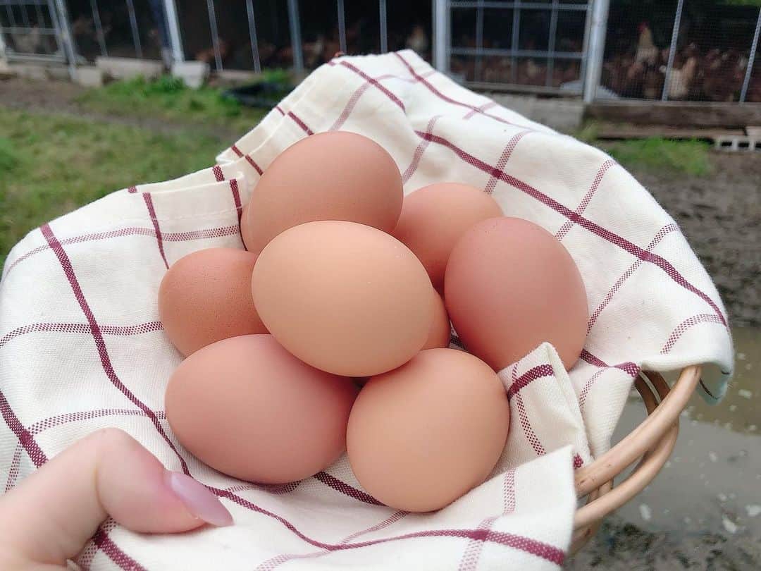 辻満里奈さんのインスタグラム写真 - (辻満里奈Instagram)「ラーメン用の卵ハントをしてきました🥚🍜 佐賀県にある本間農園のこの卵、ただ美味しいだけじゃなく、SDGsな秘密があるんですよ〜🐔💕  #sdgs #sdgsを始めよう #本間農園 #本間農園の卵 #循環農法 #卵 #ラーメン #🍜 #becolorful #福岡 #佐賀 #rkb毎日放送 #rkb #6月はカラフルマンス #アナウンサー #リポーター #辻満里奈」5月17日 19時14分 - marina__tsuji