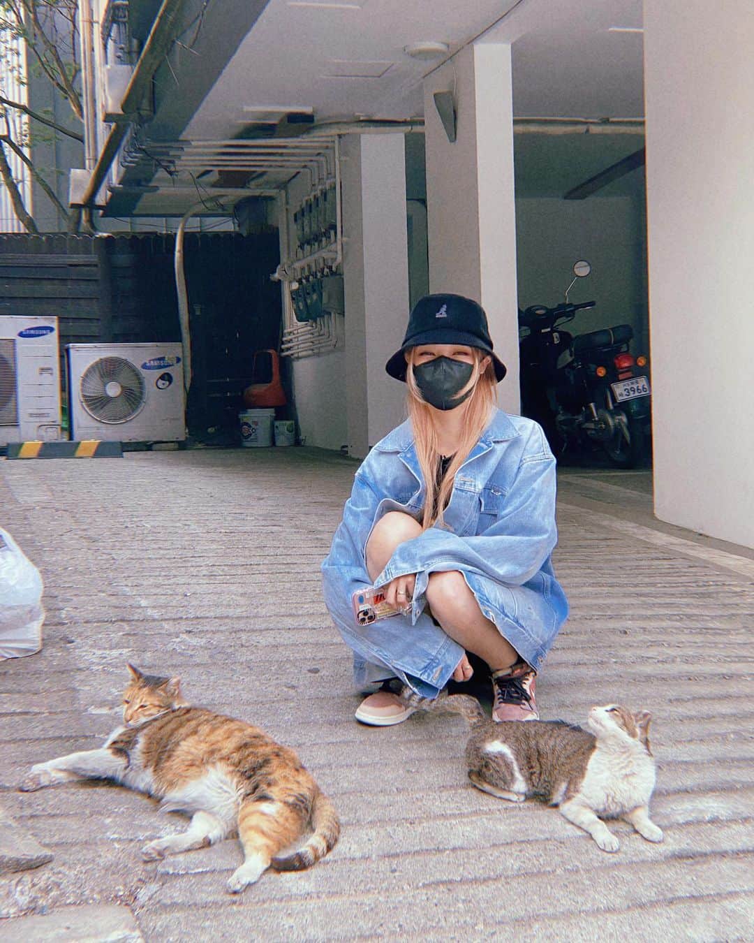 ポニーさんのインスタグラム写真 - (ポニーInstagram)「내가 족제비상이라니...」5月17日 21時38分 - ponysmakeup
