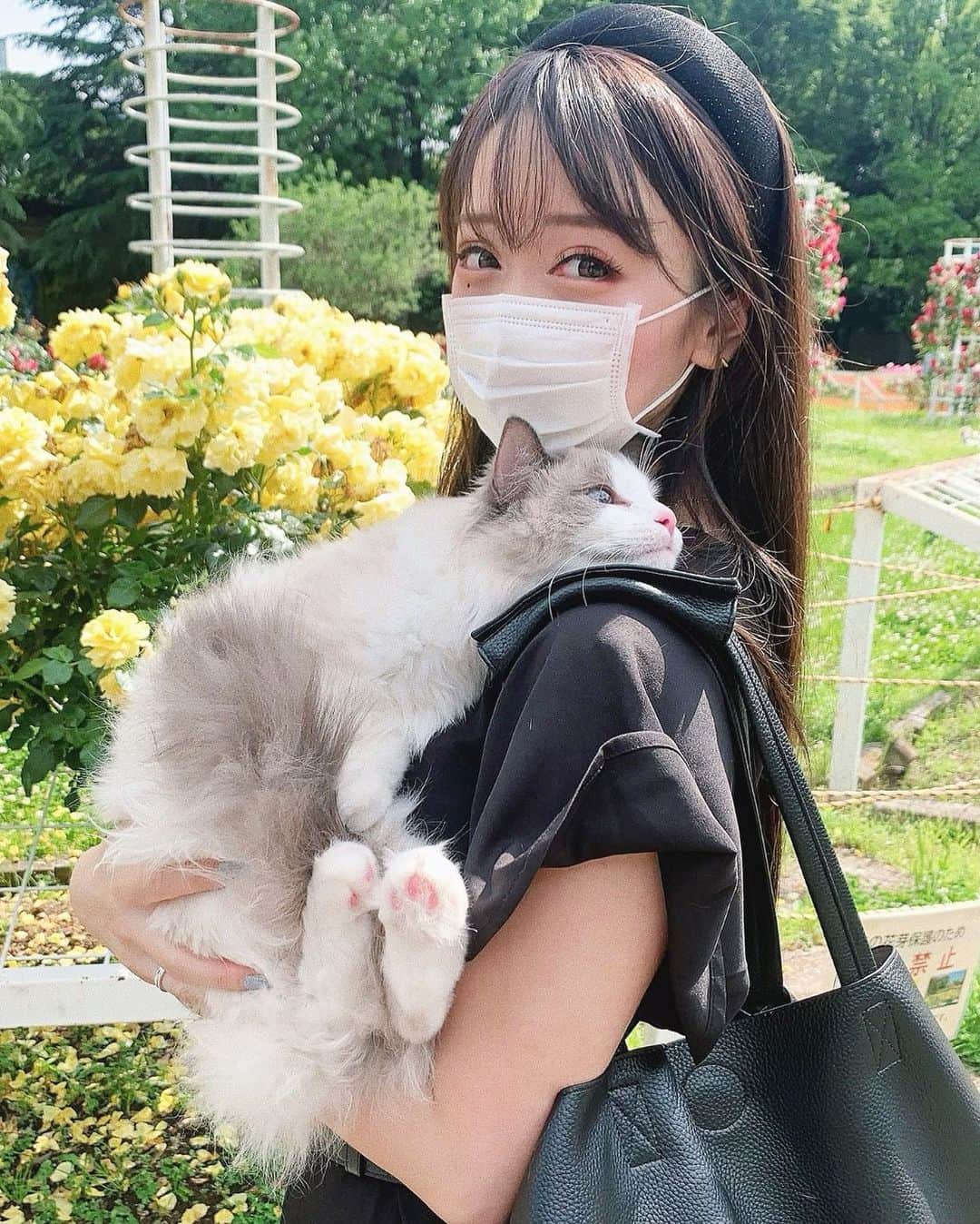 のインスタグラム：「うたたねこぴ💤 これからも一緒に色んな景色を見ようね #あんよかわいい🐾」