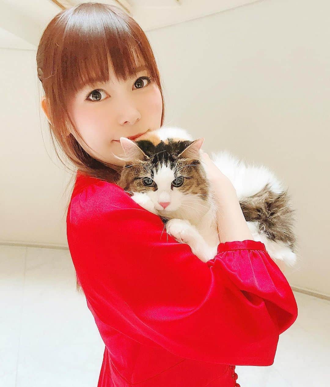 中川翔子さんのインスタグラム写真 - (中川翔子Instagram)「今日はピンクちゃんとお仕事でした！ #中川翔子 #しょこたん #猫 #cat #ピンクちゃんの本名知ってますか」5月13日 22時31分 - shoko55mmts
