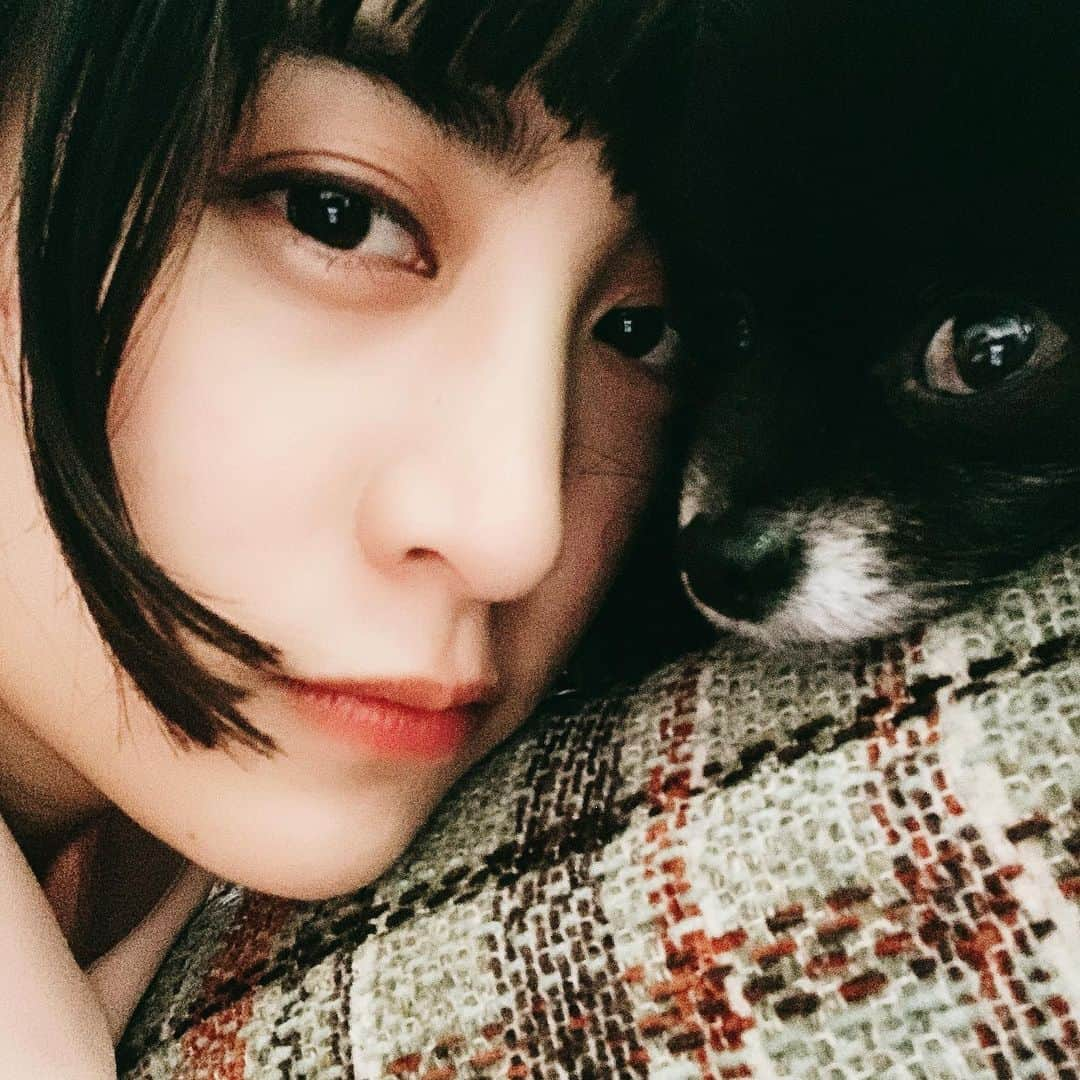 山本美月さんのインスタグラム写真 - (山本美月Instagram)「見てるよ   #kotsume」5月14日 15時42分 - mizuki_yamamoto_official