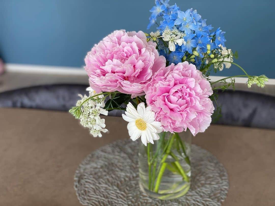 阿部優貴子のインスタグラム：「母の日に 初めてママとしてもらったお花。 芍薬がいいかんじに咲いた🌷  #はなのあるくらし  #芍薬 #あべゆきflowers」