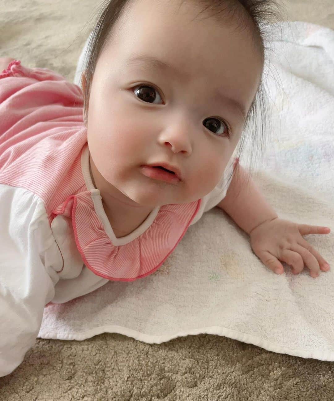 アレクサンダーのインスタグラム：「今日の美人ちゃんでした❤️ ハイハイの練習 背筋鍛えてますわよ　ウフフ」