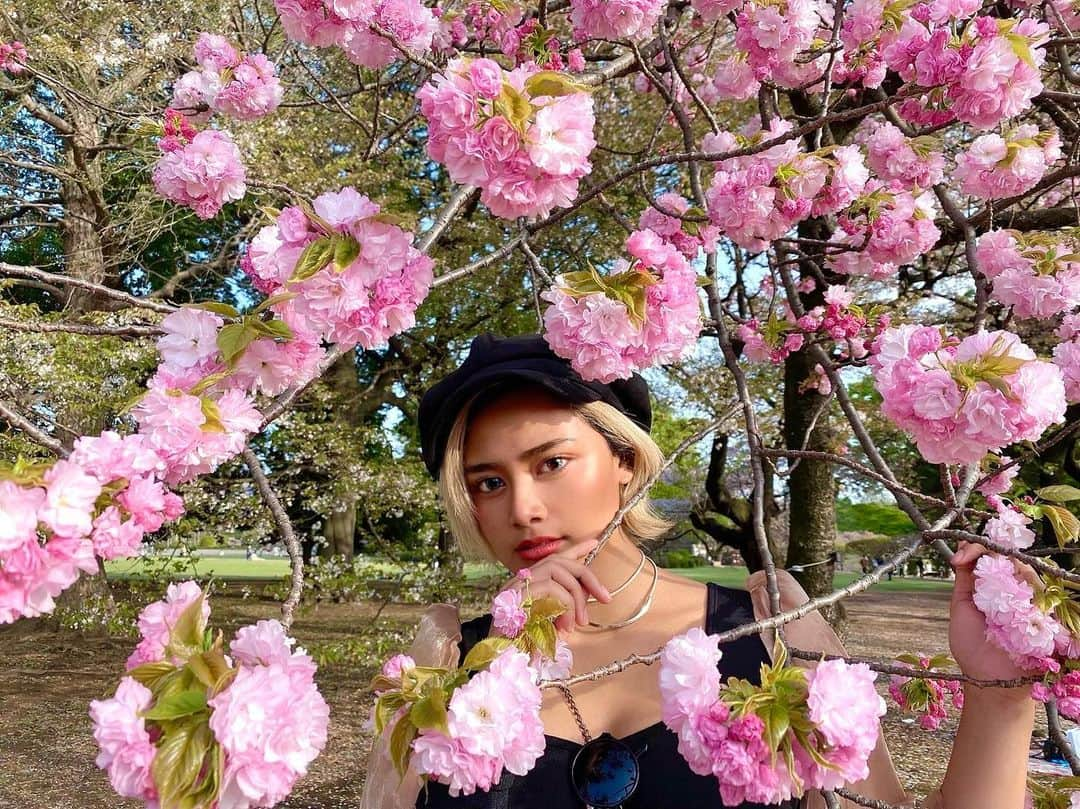 Candy さんのインスタグラム写真 - (Candy Instagram)「桜もラストで笑」5月14日 17時50分 - candyme_miyoann