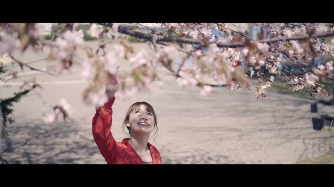のインスタグラム：「＼＼YouTube更新／／ 吉本興業所属のお笑い芸人「アップダウン」というコンビで活動する傍ら﻿ シンガーソングライターとしても活躍されている竹森巧さんの楽曲「北海道」をカバーさせていただきました！﻿ ﻿ 北海道命名150年の2018年に制作された楽曲。﻿ 北海道というこの地に感謝を込めて😌  フル↓↓ ﻿ @mihomihooo プロフURLからYouTubeへGo✈️﻿ ﻿ ﻿ ﻿ ＼お願い／﻿ YouTubeに一言コメントをもらえると﻿私はじめ制作者共々とっても励みになります🥺🥺🥺﻿ 感想どしどし書いてね🎵﻿ ﻿ チャンネル登録、高評価もらえるとさらに喜びます😆😆😆😆😆💛💛💛💛💛﻿ ﻿ ﻿  ﻿ Video by　安達 真﻿ Piano & Sound arrange　直江香世子﻿ ﻿ ﻿ ﻿ 今回撮影をしてくれた﻿ 安達 真くん、﻿本業は映像カメラマンとして活動しています😇﻿ ﻿ 現在SNSなど準備中ですので﻿ ﻿ 動画撮影の依頼など気になる方いらっしゃいましたら私にDMください！詳細お知らせします😊﻿ ﻿ ﻿ ﻿ ﻿ ﻿ #歌ってみた﻿ #歌ってみたシリーズ﻿ #歌動画﻿ #カバーソング﻿ #youtubecover﻿ #japanesesong﻿ #youtubecovers﻿ #japanesesongs﻿ #歌ってみた動画﻿ #カバー曲﻿ #カバー動画」