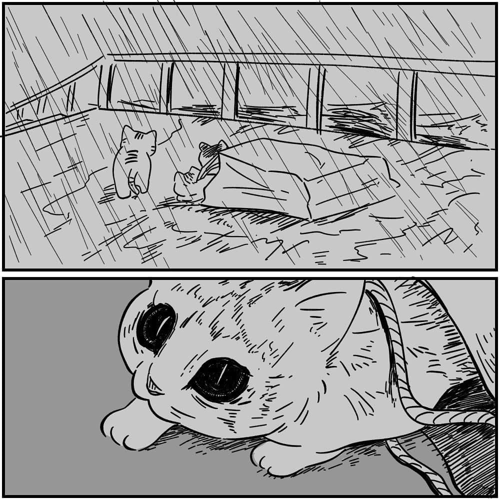 しろやぎ秋吾さんのインスタグラム写真 - (しろやぎ秋吾Instagram)「フォロワーさんの「本当にあった怖い話」その44  猫捨て婆さんの話  久々過ぎる更新… ネーム描き溜めているので皆さんの怖い話教えてください！🙇‍♂️  #本当にあった怖い話  #フォロワーさんの体験談  #ホラー漫画 #漫画 #manga」5月14日 18時29分 - siroyagishugo
