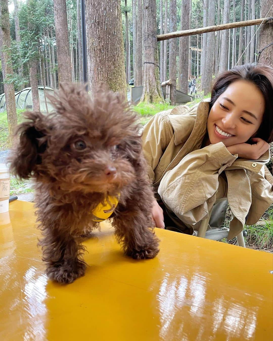 水崎綾女さんのインスタグラム写真 - (水崎綾女Instagram)「私もモコモコ🐶も寝起きzzz 緊張してる時のわんこ。 口が変な形になるみたい。 どのショットがすき？ 5枚目はお尻見せながら顔ちゃんと見せるグラビアアイドルみたいなショット📷 流石ですな、見習います…笑。 #dog #犬 #いぬ #わんこ #今日のわんこ #🐶 #camp #camping #camper #camplife #🔥 #寝起き」5月14日 19時09分 - misakiayame