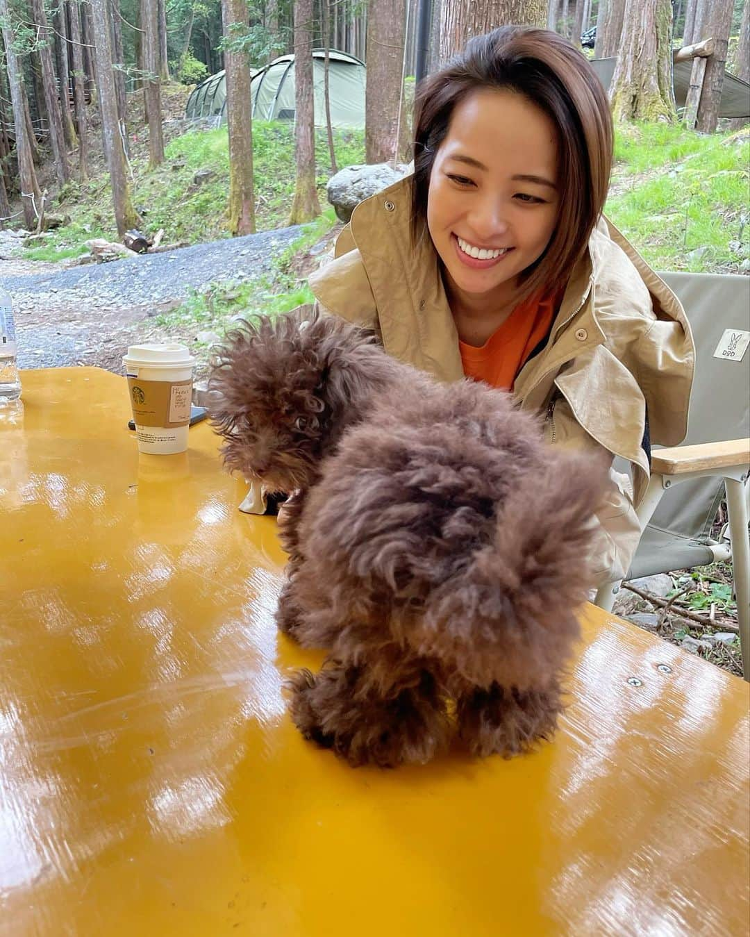 水崎綾女さんのインスタグラム写真 - (水崎綾女Instagram)「私もモコモコ🐶も寝起きzzz 緊張してる時のわんこ。 口が変な形になるみたい。 どのショットがすき？ 5枚目はお尻見せながら顔ちゃんと見せるグラビアアイドルみたいなショット📷 流石ですな、見習います…笑。 #dog #犬 #いぬ #わんこ #今日のわんこ #🐶 #camp #camping #camper #camplife #🔥 #寝起き」5月14日 19時09分 - misakiayame