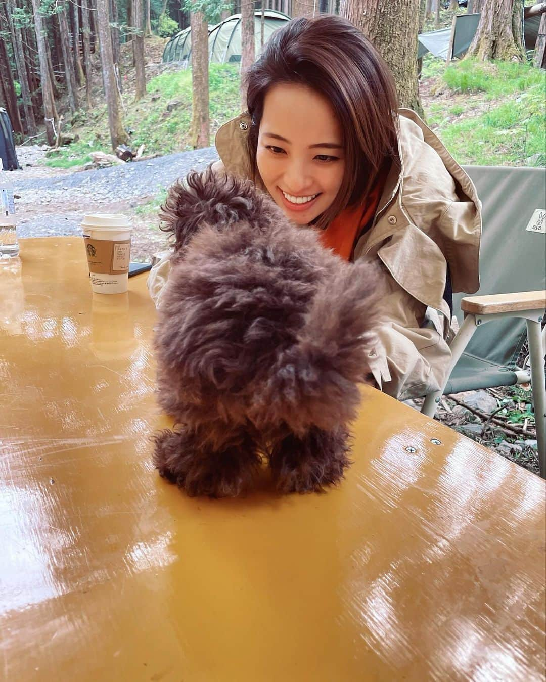 水崎綾女さんのインスタグラム写真 - (水崎綾女Instagram)「私もモコモコ🐶も寝起きzzz 緊張してる時のわんこ。 口が変な形になるみたい。 どのショットがすき？ 5枚目はお尻見せながら顔ちゃんと見せるグラビアアイドルみたいなショット📷 流石ですな、見習います…笑。 #dog #犬 #いぬ #わんこ #今日のわんこ #🐶 #camp #camping #camper #camplife #🔥 #寝起き」5月14日 19時09分 - misakiayame