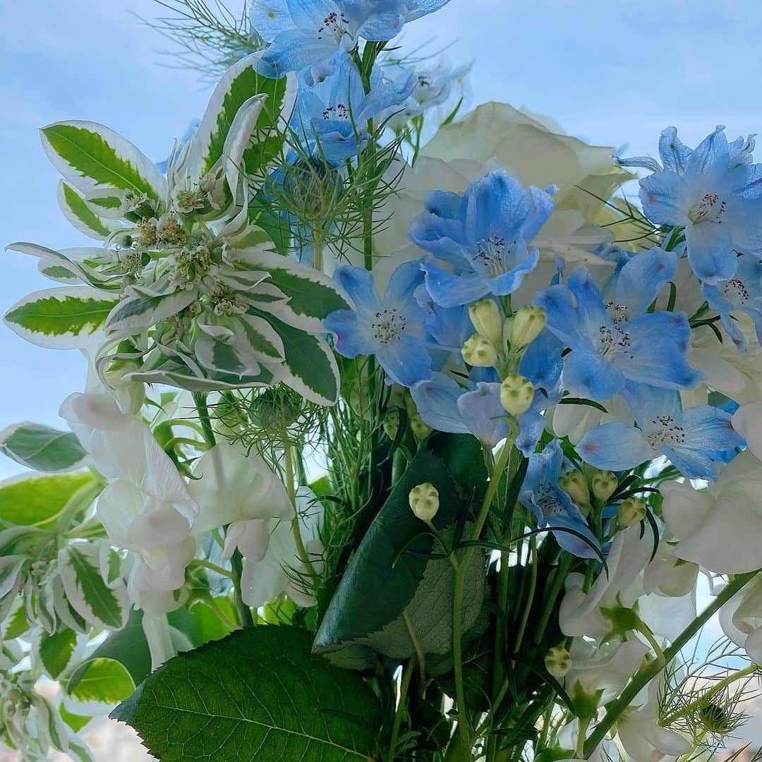 君島十和子さんのインスタグラム写真 - (君島十和子Instagram)「５月の空は心が 軽くなるみたいな色  そして空のブルーを 吸い込んだようなお花を 飾ってみました。  お天気な日ばかりじゃないけど、 花を見るたび 気持ちがフワっと します。  #フワ…ちゃん #ftcbeauty ##ftcbeauty  #君島十和子  #十和子肌 #skincare  #スキンケア #美肌 #ビューティー  #美容  #instaskincare  #instabeauty  #フェリーチェトワコ」5月14日 21時11分 - ftcbeauty.official