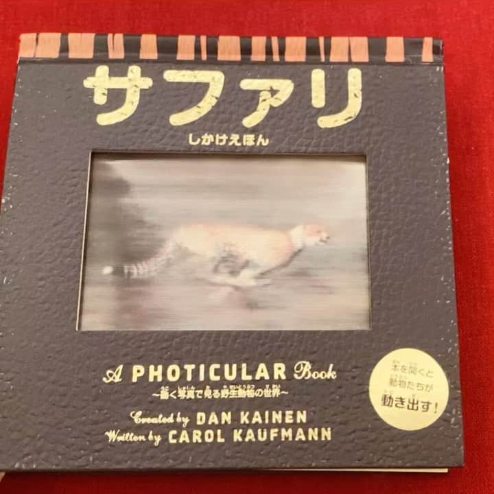 菊池梨沙のインスタグラム：「最近の息子と私のお気に入り絵本です😊」