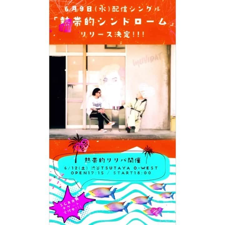 佐々木直也のインスタグラム：「2021.6.9 Muvidat【熱帯的シンドローム】 ㊗️配信リリース決定㊗️  こちら、ギター弾きました🎸 灼熱担当の俺としては、曲ももちろんですがタイトルも最高なんすよね😎🔥 夏が待ち遠しくなるようなサウンドです☀️是非聴いてください😊🎧  そして 2021.6.12（土） 渋谷TSUTAYA O-WESTにてリリースパーティー🎉MuvidatワンマンLIVEを行います！ギターで参加致します🎸  先日セットリストを決めたのですが、MuvidatのLIVEにたくさん出演させてもらって来ましたが、今回はその集大成とも言えるようなセットリストになったなと思っております！！本当に凄いぞ、、、  チケット一般発売始まりました🎟 最初から最後まで全力投球するので、是非受け止めに来て下さい⚾️🔥  #muvidat #digital #release #熱帯的シンドローム #shakalabbits #渋谷owes #shibuya #ギター #guitar #ギタリスト #guitarist #佐々木直也 #naoya #sasaki #空想委員会 #kuusouiinkai」