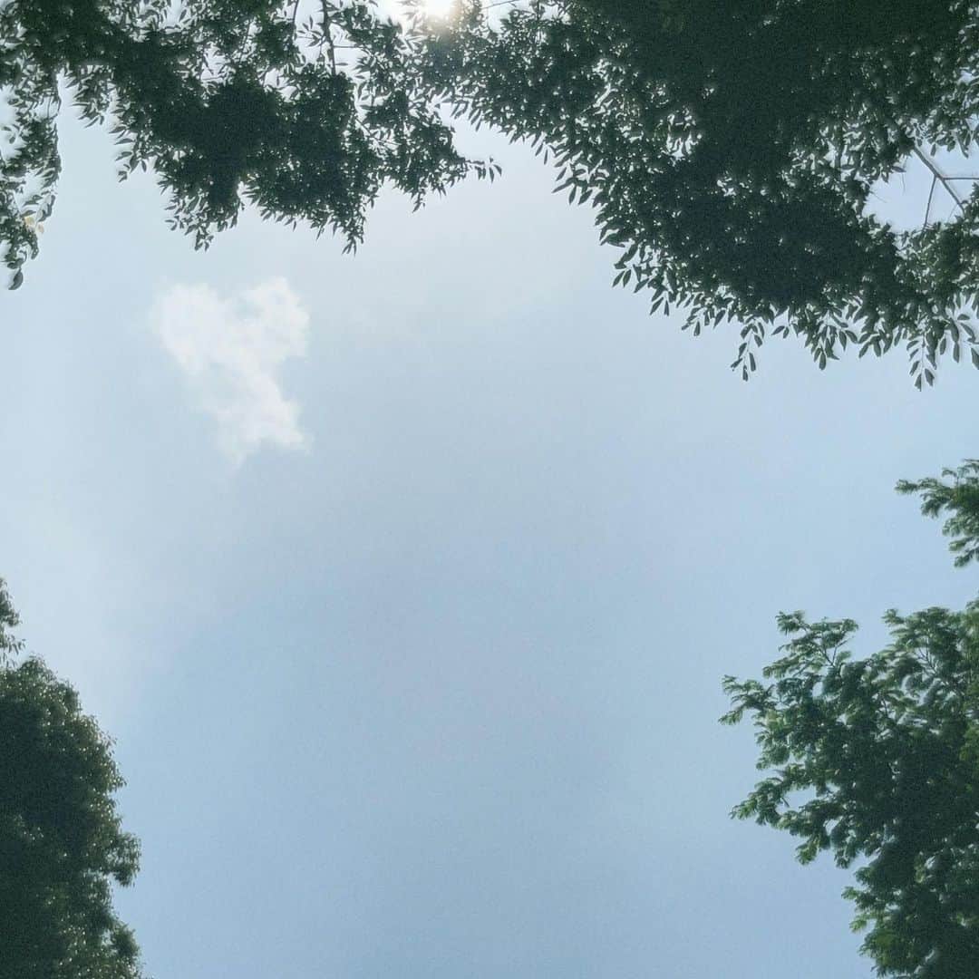 笛木優子さんのインスタグラム写真 - (笛木優子Instagram)「急に夏が来ました。。。🌞💦」5月15日 10時20分 - yukofuekiyumin