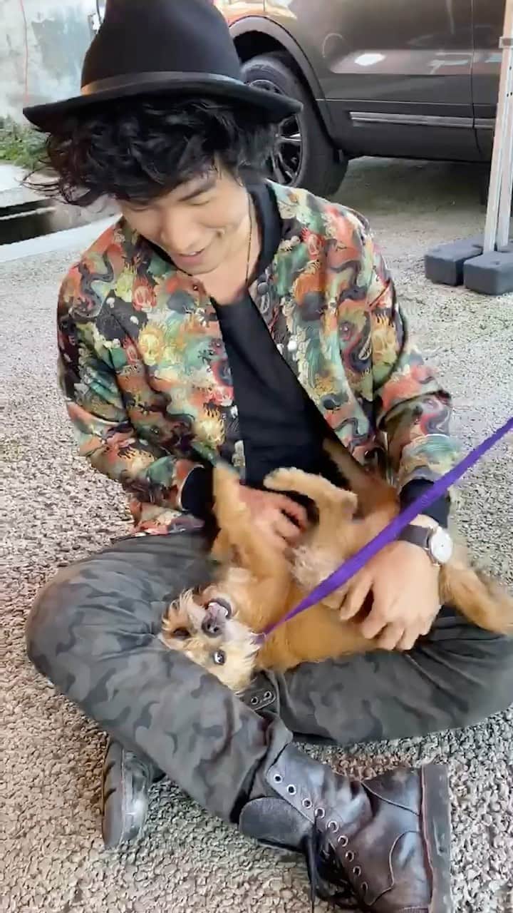 ユージン・リー・ヤンのインスタグラム：「Video dump of a year of love and laughs with this wacky little guy, including when we rescued him! Couldn’t imagine life without him. Pandemic adoptions are being returned to shelters in record numbers - please encourage others to find successful workarounds to keep their pets! #adoptdontshop」