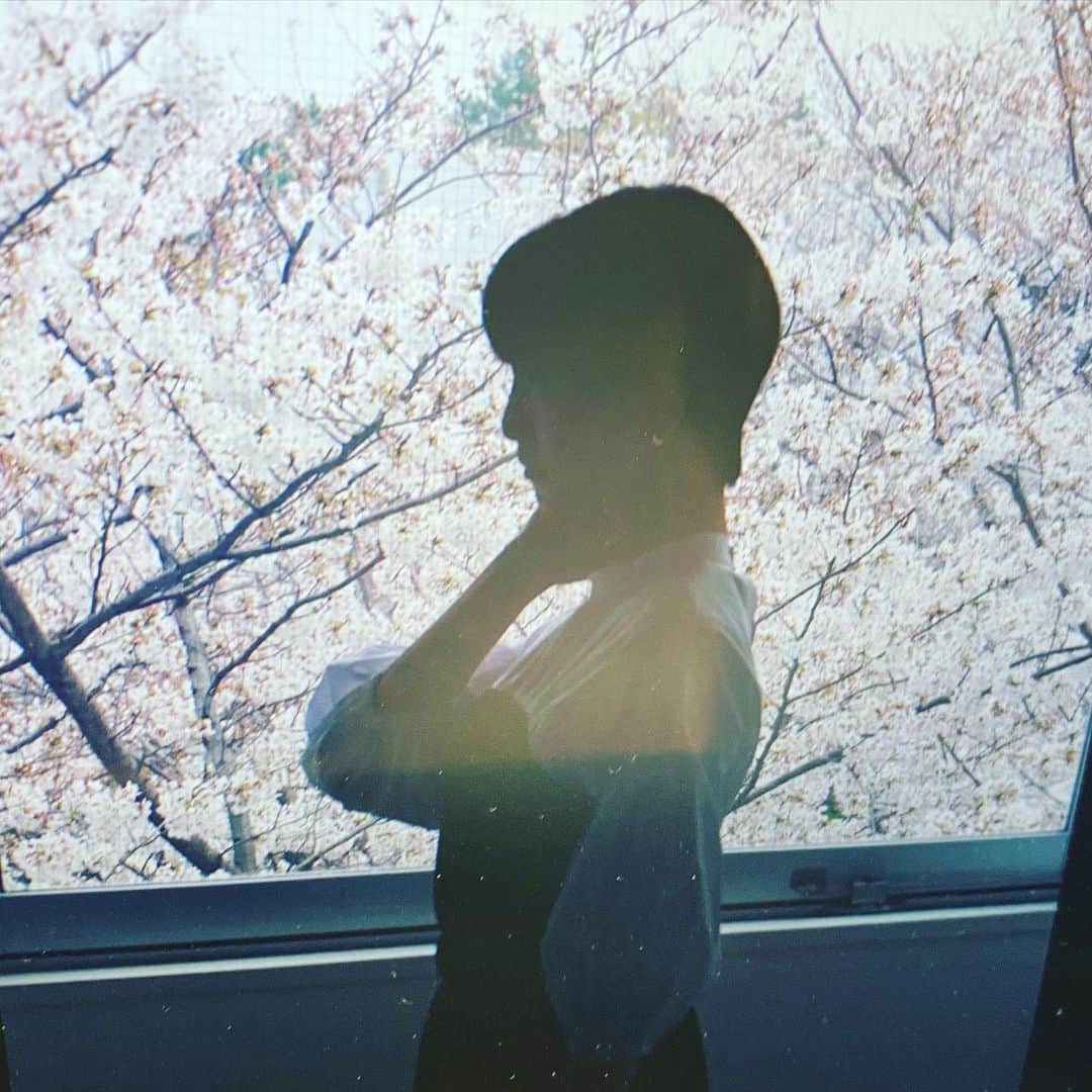 松井玲奈さんのインスタグラム写真 - (松井玲奈Instagram)「ファンクラブ会報が届き始めているようで。 桜と共に撮った素敵な写真がたくさんです。楽しんでもらえますように。 使われなかった写真も素敵なものばかりで、いつかどこかでみてもらえたらいいなあ。 いってきます。」5月15日 7時55分 - renamatui27