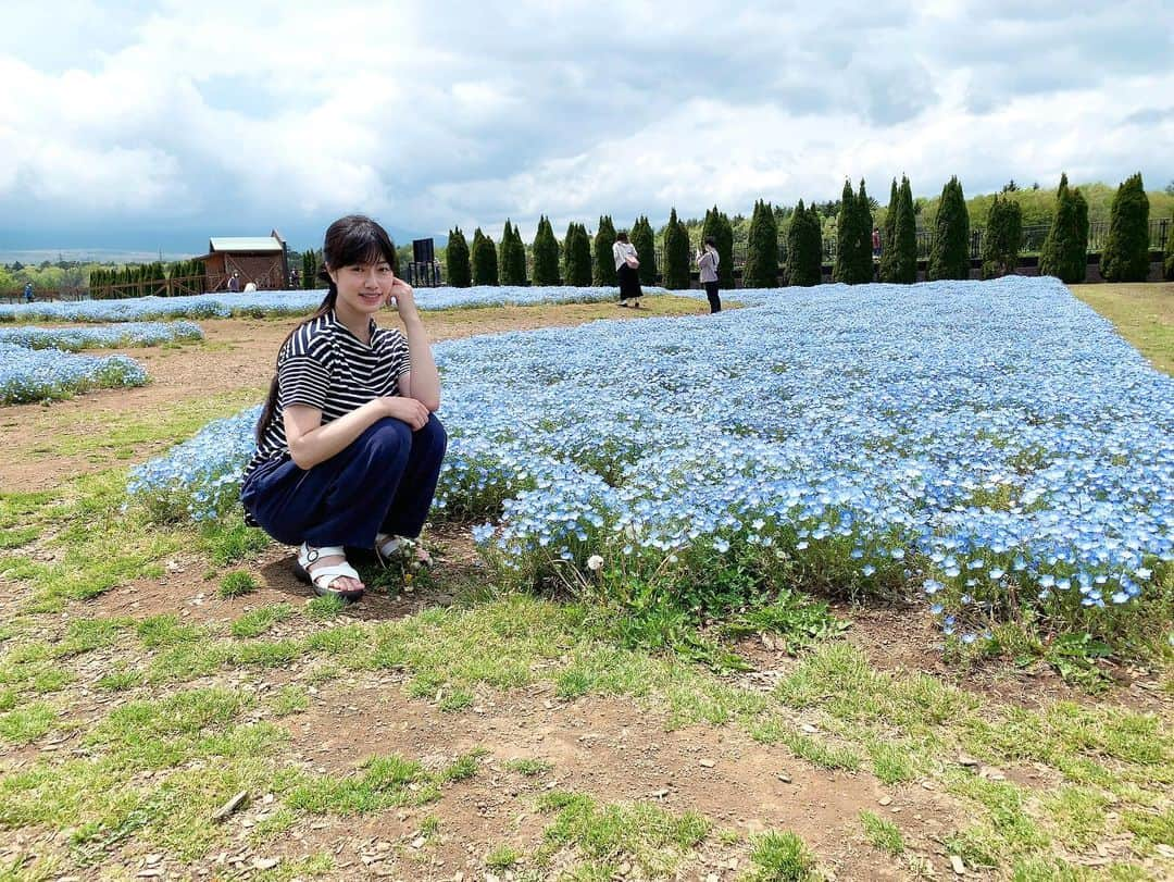 小田飛鳥のインスタグラム：「父が富士山を見たいと言うので両親と山中湖周辺へ🗻 父があまり歩けないのでバスを駆使して色々と周りました〜〜 花の都公園、ハンモックカフェ、最後は紅富士の湯♨︎ 今回は雲が厚く、富士山は綺麗見られなかったので4枚目以降はこの前の河口湖からの富士山です╭( ･ㅂ･)و̑  #富士山 #mtfuji #山中湖 #河口湖 #花の都公園 #ハンモックカフェ #紅富士の湯 #ネモフィラ #nemophila #ハンモック #欲しい」