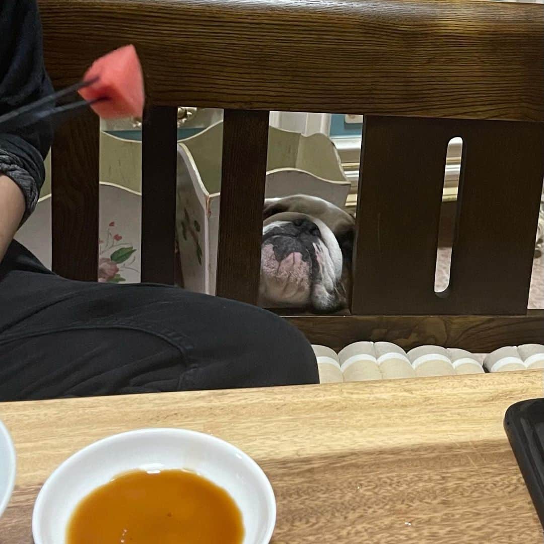 北斗晶さんのインスタグラム写真 - (北斗晶Instagram)「お兄ちゃん、お箸にスイカを刺した瞬間…  誰だか分かりますか❓」5月16日 12時55分 - hokutoakira_official