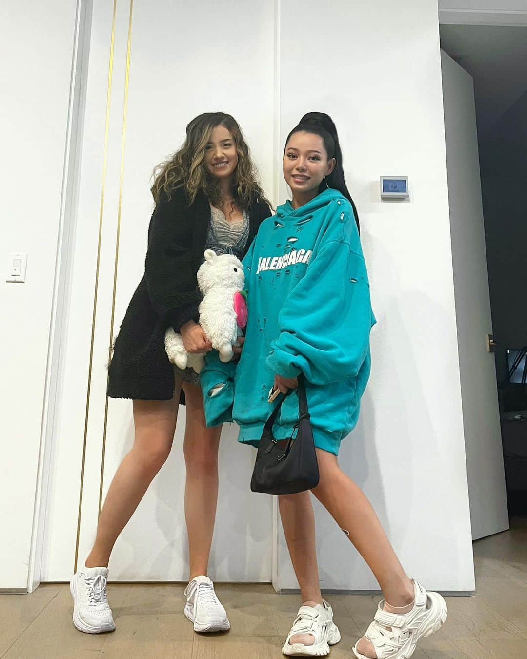 Pokimaneのインスタグラム：「bella got me an alpaca for my birthday ❤️🦙」