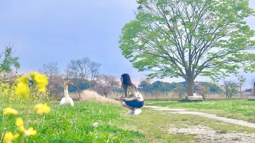 のインスタグラム：「☀️ おはようございます☺️💋  この子は  アヒル？？ 白鳥？？？  #吉山りさ  #美容 #40代 #美肌ケア #カメラ #写真 #photo #フリーモデル #フリーランスモデル #me #instalike #アラフォーママ #モデル #model #Japanese  #バスタオル女子 #バスタオルモデル #温泉 #温泉ソムリエ #秘湯 #お酒 #お風呂 #温泉モデル #温泉女子 #모델   #アヒル  #白鳥 ？？？ どちどちー？」