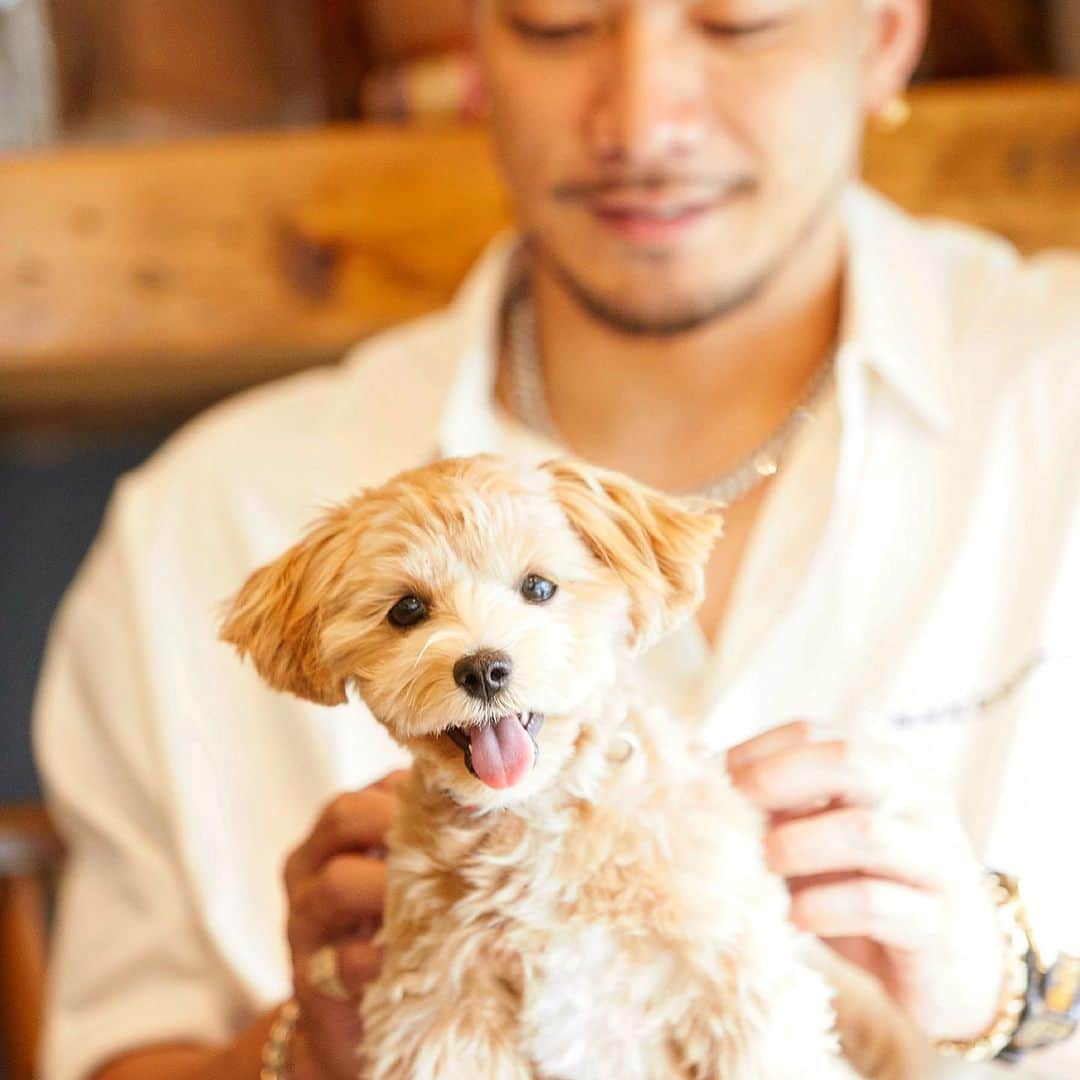 野替愁平のインスタグラム：「昨日で半年🎂 リズムさん、自由に生きよ👍✨  📸by @tanyphoto」