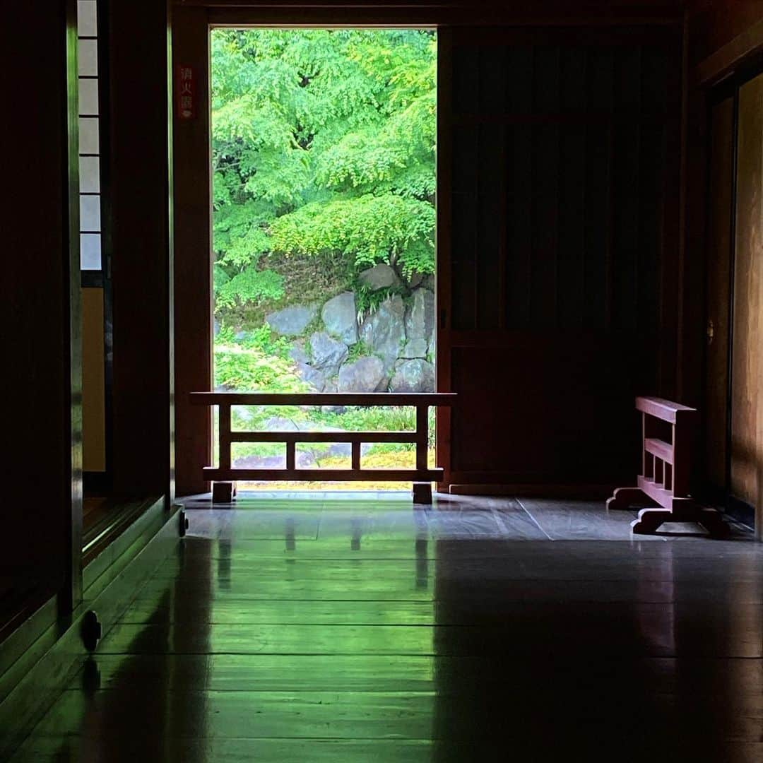 Atsukoのインスタグラム：「・ 鎌倉にきてます…☔️ ・ ・ #円覚寺#鎌倉」