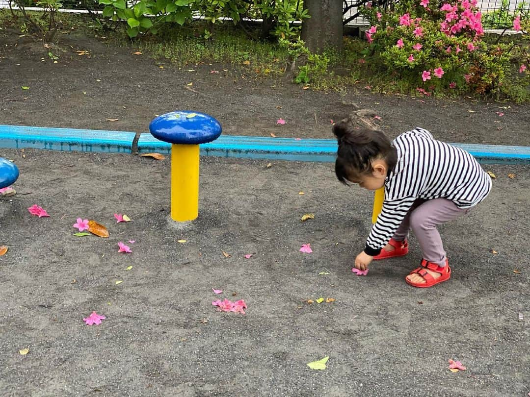 クロさんのインスタグラム写真 - (クロInstagram)「今日の一コマ👧🏽﻿ ﻿ 少し小雨だったし、誰も公園にいないくらいだったけれど、昨日から約束していたお砂場遊びにいってきました。﻿ ﻿ ゆっくり時間も忘れて、遊ぶことが少ないので﻿ 砂場して、落ちている花を愛でて、ボール遊びをする（バスケ部になって欲しい🏀←しつこ）﻿ ﻿ なんてことない時間が﻿ とても美しい。﻿ そんなことを写真を見返しながら思います。﻿ （わかっていてもなーーんか渦中はバタバタなことが多い、し、わたしは携帯いじりがち…ごめん）﻿ ﻿ #生後1011日 #2y9m7d #小雨の公園 #お尻が汚れてるのも良いね #うちのかわい子ちゃん #毎日がスペシャル #愛おしい瞬間 #キッズコーデ #smiling #可愛い #ありがとう #ファッション #大好き #tokyo #コーデ #女の子ママ #ママリ#コドモノ #子どもの日常をもっと写真に #mamagirl #ママカメラ #おやこーで #リンクコーデ #cordinate #親バカ部 #あいのり #ちびクロコーデ #ちびクロdiary」5月16日 23時12分 - kuro_risa