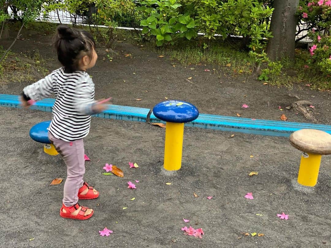 クロさんのインスタグラム写真 - (クロInstagram)「今日の一コマ👧🏽﻿ ﻿ 少し小雨だったし、誰も公園にいないくらいだったけれど、昨日から約束していたお砂場遊びにいってきました。﻿ ﻿ ゆっくり時間も忘れて、遊ぶことが少ないので﻿ 砂場して、落ちている花を愛でて、ボール遊びをする（バスケ部になって欲しい🏀←しつこ）﻿ ﻿ なんてことない時間が﻿ とても美しい。﻿ そんなことを写真を見返しながら思います。﻿ （わかっていてもなーーんか渦中はバタバタなことが多い、し、わたしは携帯いじりがち…ごめん）﻿ ﻿ #生後1011日 #2y9m7d #小雨の公園 #お尻が汚れてるのも良いね #うちのかわい子ちゃん #毎日がスペシャル #愛おしい瞬間 #キッズコーデ #smiling #可愛い #ありがとう #ファッション #大好き #tokyo #コーデ #女の子ママ #ママリ#コドモノ #子どもの日常をもっと写真に #mamagirl #ママカメラ #おやこーで #リンクコーデ #cordinate #親バカ部 #あいのり #ちびクロコーデ #ちびクロdiary」5月16日 23時12分 - kuro_risa