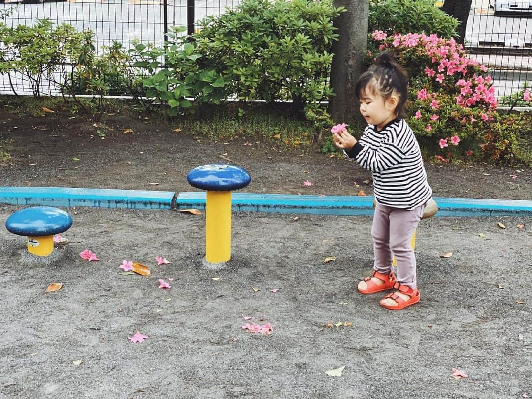 クロさんのインスタグラム写真 - (クロInstagram)「今日の一コマ👧🏽﻿ ﻿ 少し小雨だったし、誰も公園にいないくらいだったけれど、昨日から約束していたお砂場遊びにいってきました。﻿ ﻿ ゆっくり時間も忘れて、遊ぶことが少ないので﻿ 砂場して、落ちている花を愛でて、ボール遊びをする（バスケ部になって欲しい🏀←しつこ）﻿ ﻿ なんてことない時間が﻿ とても美しい。﻿ そんなことを写真を見返しながら思います。﻿ （わかっていてもなーーんか渦中はバタバタなことが多い、し、わたしは携帯いじりがち…ごめん）﻿ ﻿ #生後1011日 #2y9m7d #小雨の公園 #お尻が汚れてるのも良いね #うちのかわい子ちゃん #毎日がスペシャル #愛おしい瞬間 #キッズコーデ #smiling #可愛い #ありがとう #ファッション #大好き #tokyo #コーデ #女の子ママ #ママリ#コドモノ #子どもの日常をもっと写真に #mamagirl #ママカメラ #おやこーで #リンクコーデ #cordinate #親バカ部 #あいのり #ちびクロコーデ #ちびクロdiary」5月16日 23時12分 - kuro_risa