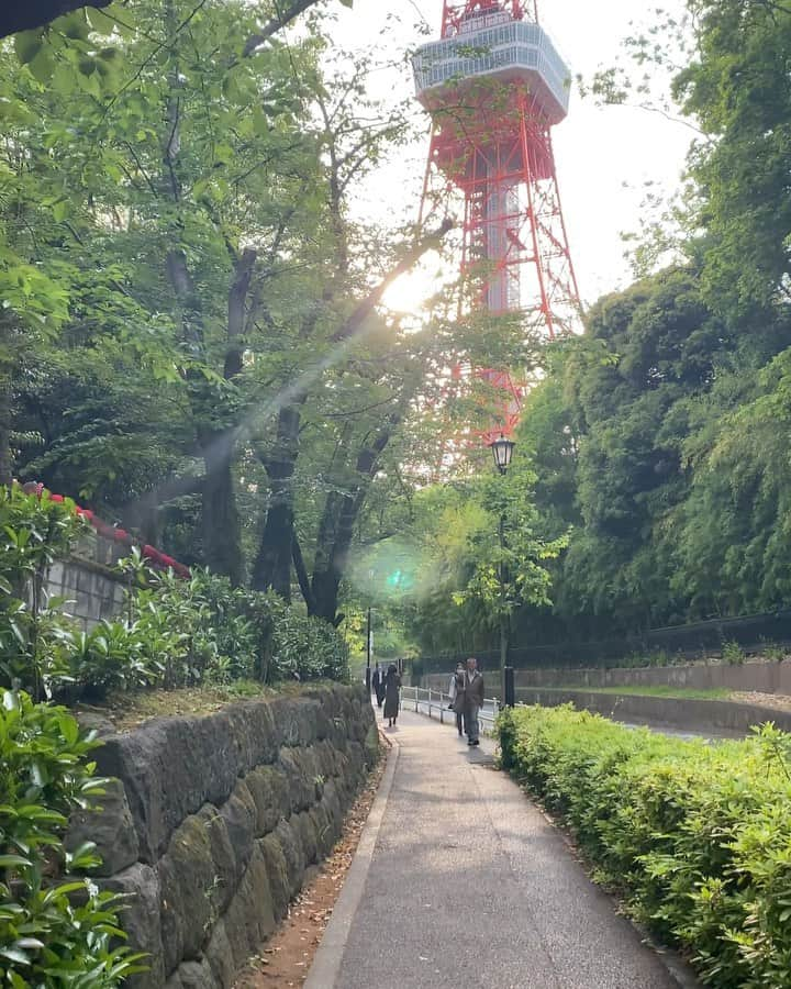 道岡桃子のインスタグラム