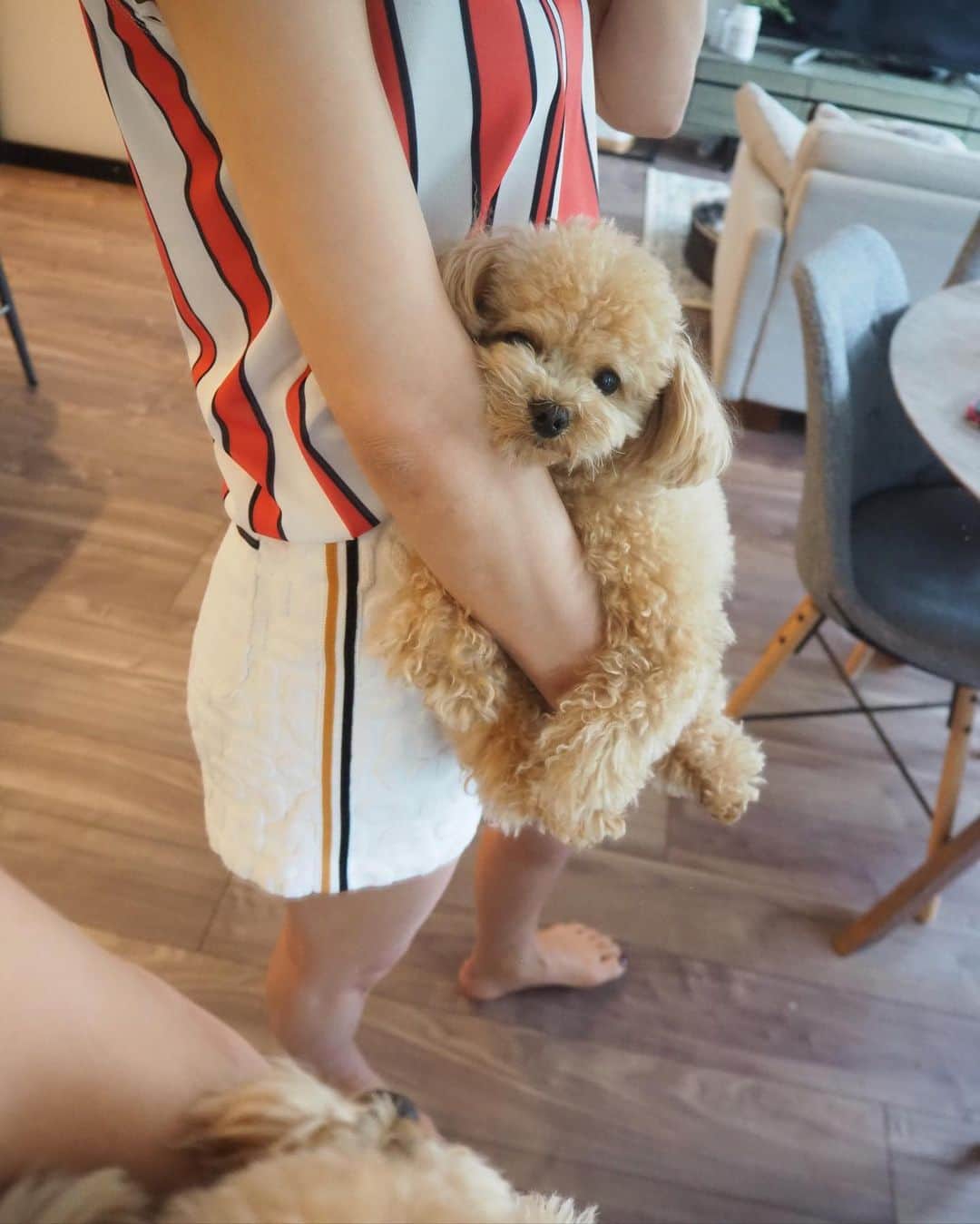 くるみたんのインスタグラム
