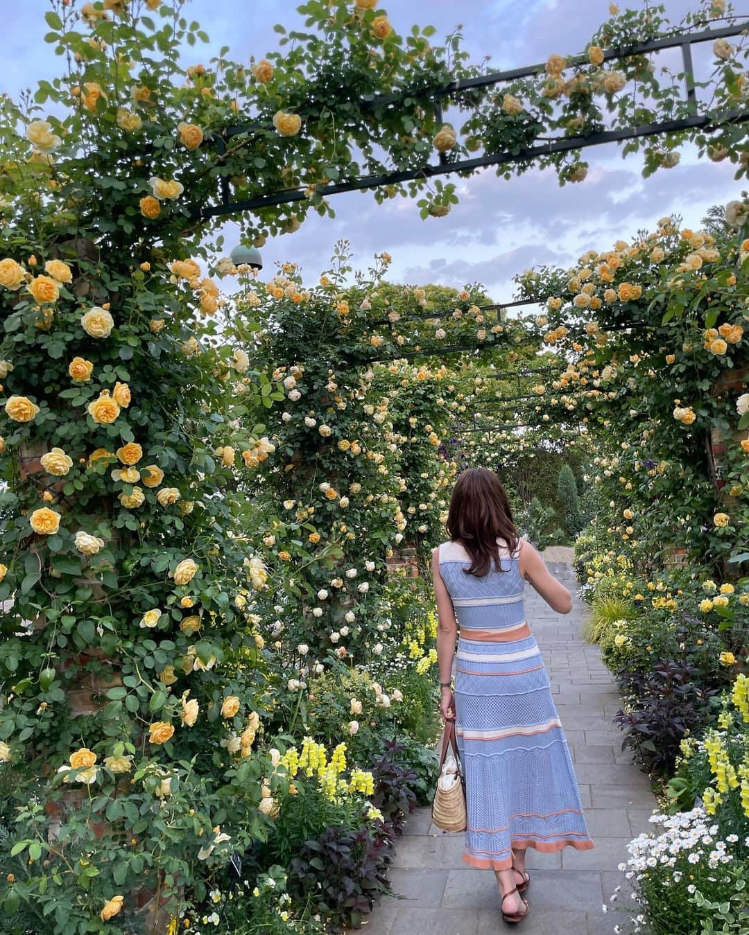 l.lily1013さんのインスタグラム写真 - (l.lily1013Instagram)「𝐸𝑛𝑔𝑙𝑖𝑠ℎ 𝑅𝑜𝑠𝑒 𝐺𝑎𝑟𝑑𝑒𝑛. 🌹 たまたま近くを散歩したら 港のみえる丘公園にある イングリッシュローズガーデンのバラが満開だったよ🌹💛  コーデは昨日に引き続き、 @dazzlin_official のミルフィーユクロシェワンピース   クロシェが春夏っぽくてラインを拾うので大人な雰囲気🌹  🥀横浜イングリッシュ・ローズガーデン　 Yokohama English Rose Garden 📍神奈川県横浜市中区山手町115-3　 TEL 045-623-7812 🕙常時開門 🎫入場料/無料 🚃 元町中華街駅6番出口から徒歩約10分  #ダズリン #dazzlin #タビジョ #港の見える丘公園  #きれいめカジュアル #きれいめコーデ #カジュアルコーデ #横浜観光#みなとみらい #大人コーデ #ワンピースコーデ #30代ファッション #春夏コーデ #デートコーデ #ママコーデ #tabimuse #locari#dazzlin_muse#dazzlin_snap」5月16日 19時05分 - l.lily1013