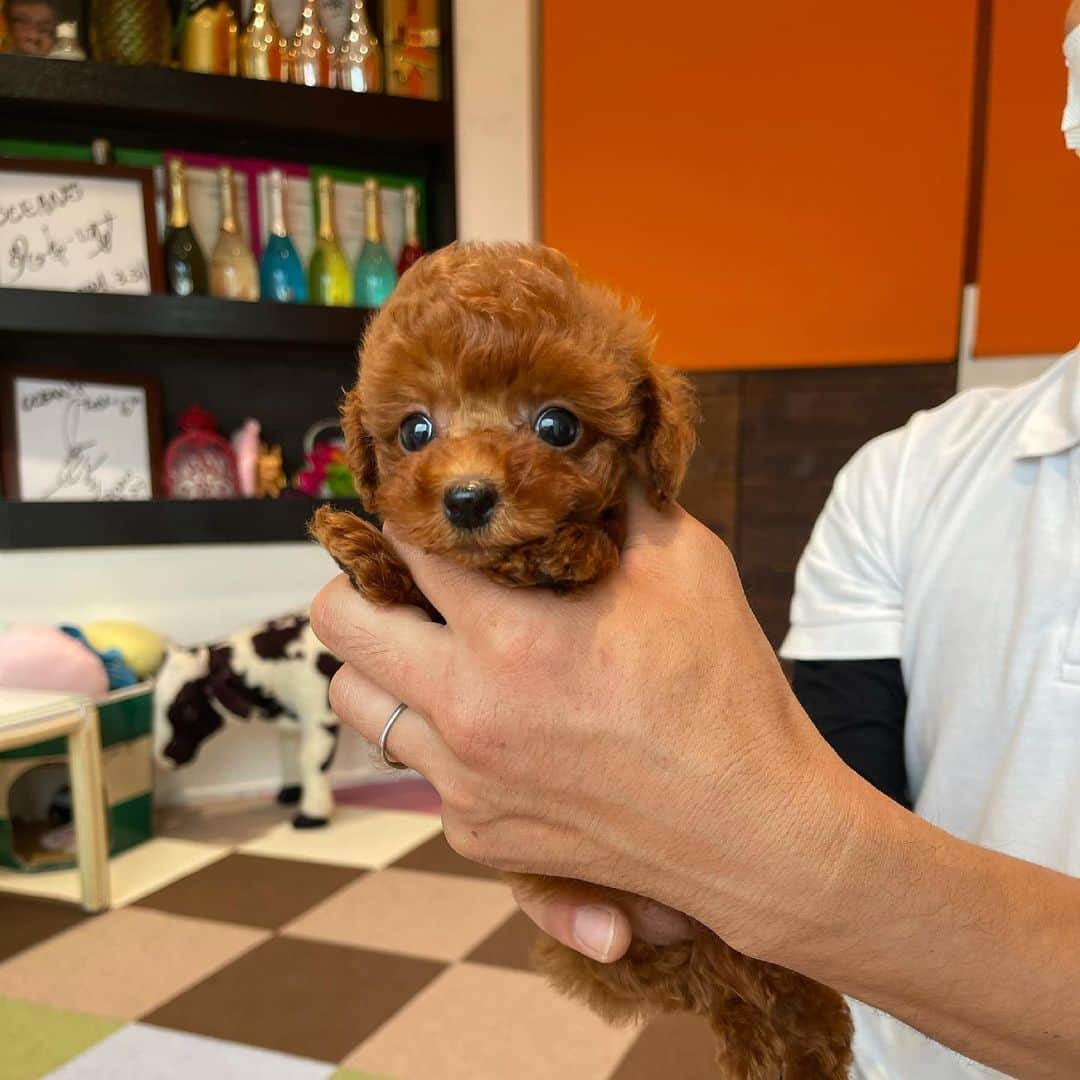 宮崎宣子のインスタグラム