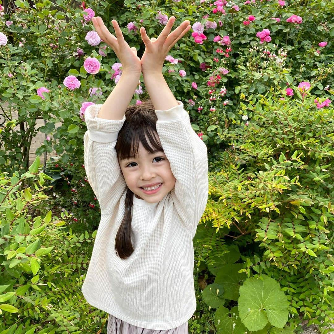 アレン明亜莉クレアさんのインスタグラム写真 - (アレン明亜莉クレアInstagram)「🌹 薔薇が綺麗〜 最近公園ばかり〜 遊園地に行きたいな🎡 ・ メアリーのお誕生日が間近になってきました〜 何がいいか聞いたら、 鬼滅の刃の無限列車のプラレールだそうです💦 ウィリーと遊べるからって言ってました〜 ・ じいじ達に買ってもらって、 ママ達は何にしようかな🤔 ・ 今回のお誕生日から メアリーの幼児タイプのベッドをダブルベッドに組み立て変えます！ ちょっとキツくなったみたいです✨ ダブルベッドにしたらサイドに落ちるのでちょっと心配😭 カーペットだから大丈夫かな⁉️ ・ ・   #girlsmodel #5歳 #kidsmodel #子どものいる暮らし #女の子コーデ  #インスタキッズ #ig_baby #ig_kids #子役  #ハーフキッズ #ママノワ #mixedkids #女の子モデル #ファッションモデル #ハーフ子役 #mamanokoカメラ部 #instagram_kids #insta_kids #ベビフル #コズレ  #ママリ #キッズフォト  #メアリーちゃん #アレン明亜莉クレア」5月16日 21時39分 - mary.2015c