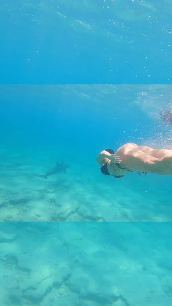 ホープ・ビールのインスタグラム：「Wow, swimming in the wild with dolphins😍 . #bucketlist #dolphins #turksandcaicos  . I seriously almost cried when a I saw them. They actually love people and come around to play.  .」