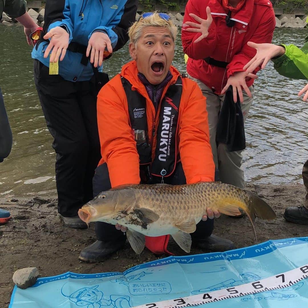 田村亮のインスタグラム：「久々の釣り図鑑 鯉。 立派な鯉。 #ロンブー亮 #釣りならまかせろ  #入間川 #延べ竿で釣り #テレビ埼玉 #釣りビジョンも宜しく #YouTube原西フィッシングクラブも宜しく」