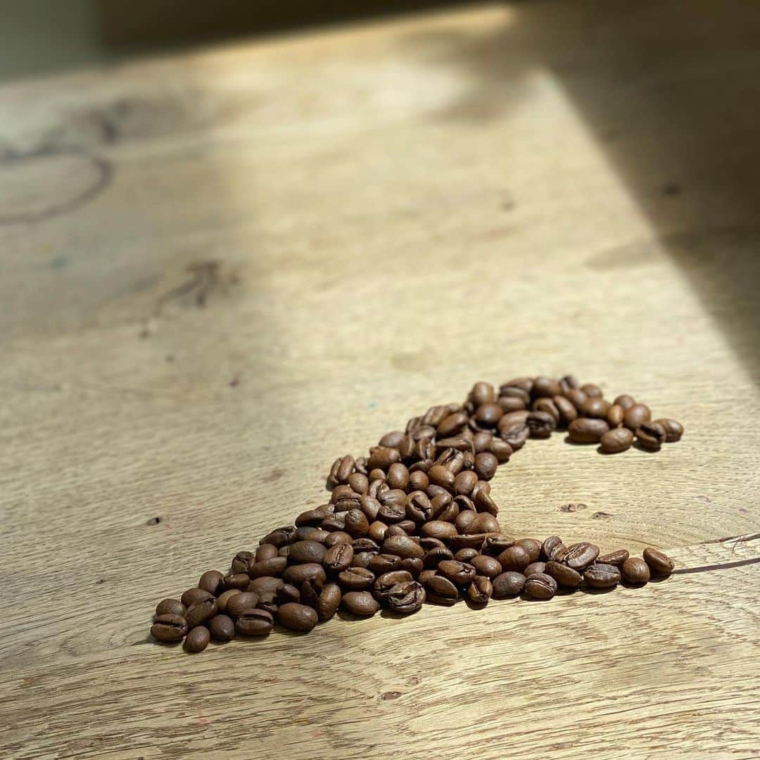 坂口憲二（THE RISING SUN COFFEE）さんのインスタグラム写真 - (坂口憲二（THE RISING SUN COFFEE）Instagram)「◆GOOD MORNING COFFEE‼︎◆  【COFFEE&SURFING】  梅雨ですね... 波のこと考えてたらこんなことに笑  therisingsuncoffee.com  #coffee #coffeebeans  #coffeeroaster  #coffeelab  #coffeeandsurfing  #coffeetime  #coffeelover  #coffeebreak  #coffeeshop  #coffeestand  #coffeeholic  #coffeehouse  #coffee_inst  #coffeemaker  #coffeeshops  #coffeecoffeecoffee  #coffeenclothes  #coffeeaddict  #coffeeculture  #coffeemorning  #coffeemag #specialitycoffee  #rainyseason  #TRSC」5月17日 6時26分 - therisingsuncoffee