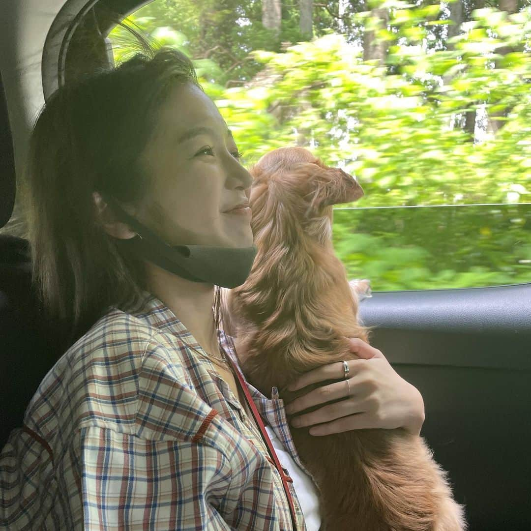 江夏詩織さんのインスタグラム写真 - (江夏詩織Instagram)「友達のわんことドライブ #🐶」5月17日 17時11分 - shiori_enatsu