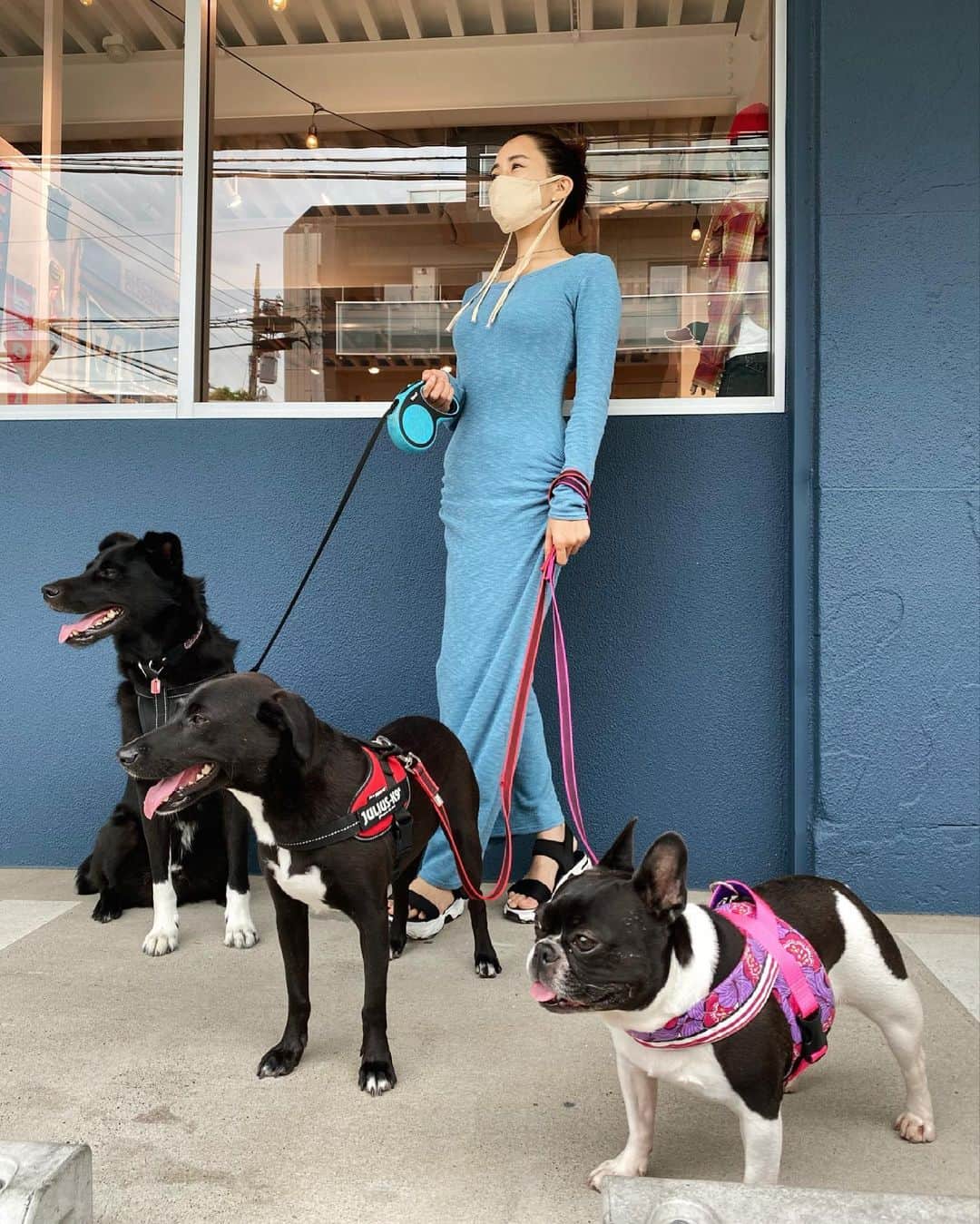 桐山マキさんのインスタグラム写真 - (桐山マキInstagram)「. . . Lovely❤︎❤︎❤︎🐕‍🦺  🐕‍🦺🐕‍🦺🐕‍🦺❤︎❤︎❤︎  ワンピは 和香ちゃんのブランド♡ @wakanozawa  @hereiam.official   マスクは ミコたんの♡ @m_iiicooo  @unbybalancestyle   宅配便のお兄さんを 皆でみてるの図の朝散歩🚶‍♀️🐕‍🦺🐕‍🦺🐕‍🦺 #japan #fashion #hereiam #unbalance  #onepiece  #mask #dogoftheday  #dogstagram  #rescuedog  #frenchbulldog  #ワンピース #スタイルアップワンピ #よく考えられているワンピ #デザイナー #モデル #和香ちゃんの作る服好きです #マスクはミコたんのデザイン #ミコたんの作るものもスーパー素敵 #アンバランス #盛れマスク #いぬすたぐらむ  #犬のいる暮らし  #ふれぶる  #ラブラドール風 #保護犬 #宮古島 #保護犬を家族に」5月17日 12時26分 - maki_kiriyama