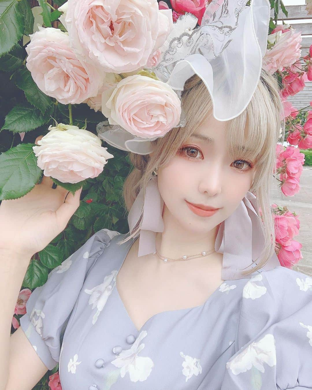 Elyさんのインスタグラム写真 - (ElyInstagram)「Roses 🌹  バラ🌹 玫瑰真的好香～🌹🥰  #elycosplay #ely #dailyely #elydaily #blessed」5月17日 14時51分 - eeelyeee