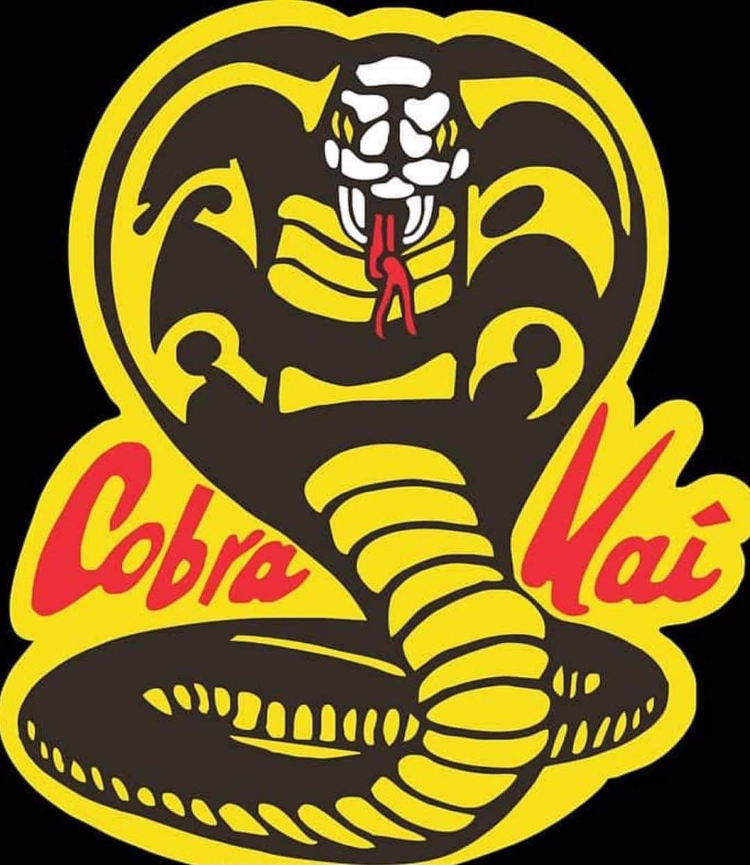 山口祥行のインスタグラム：「今更だけどハマってる🐍 #コブラ会」