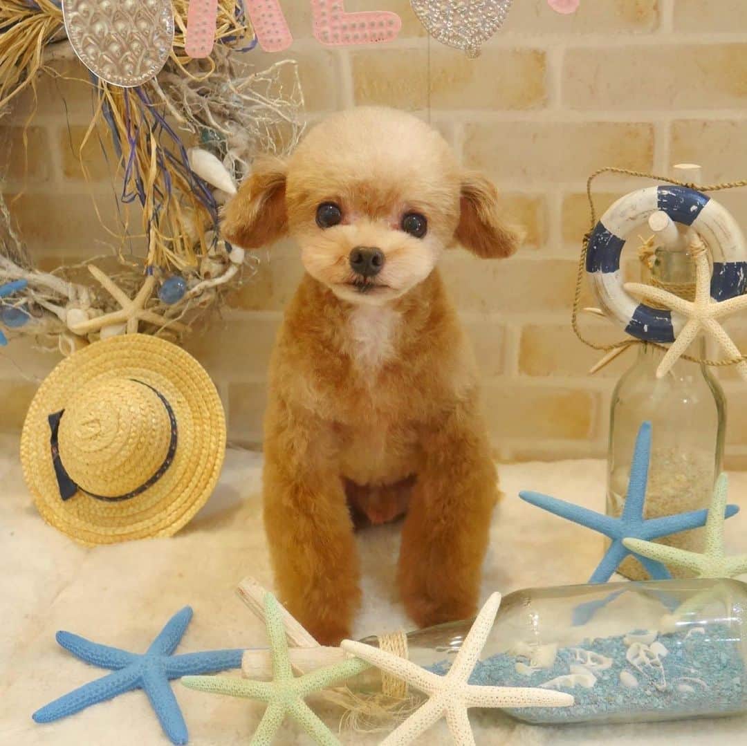 明日花キララさんのインスタグラム写真 - (明日花キララInstagram)「毎日ほんと目の保養です🥺🥺」5月17日 16時30分 - asukakiraran