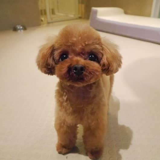 明日花キララさんのインスタグラム写真 - (明日花キララInstagram)「毎日ほんと目の保養です🥺🥺」5月17日 16時30分 - asukakiraran