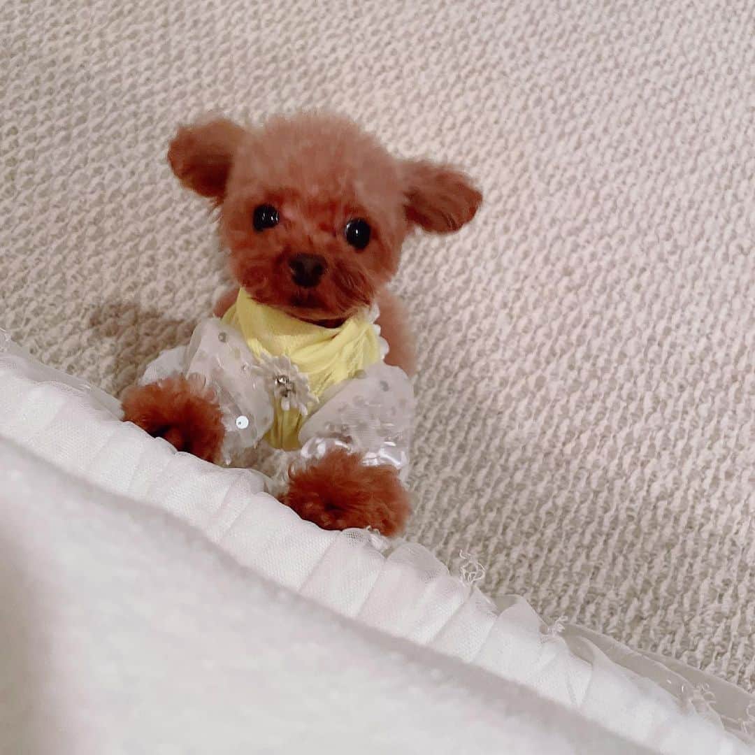 明日花キララさんのインスタグラム写真 - (明日花キララInstagram)「毎日ほんと目の保養です🥺🥺」5月17日 16時30分 - asukakiraran