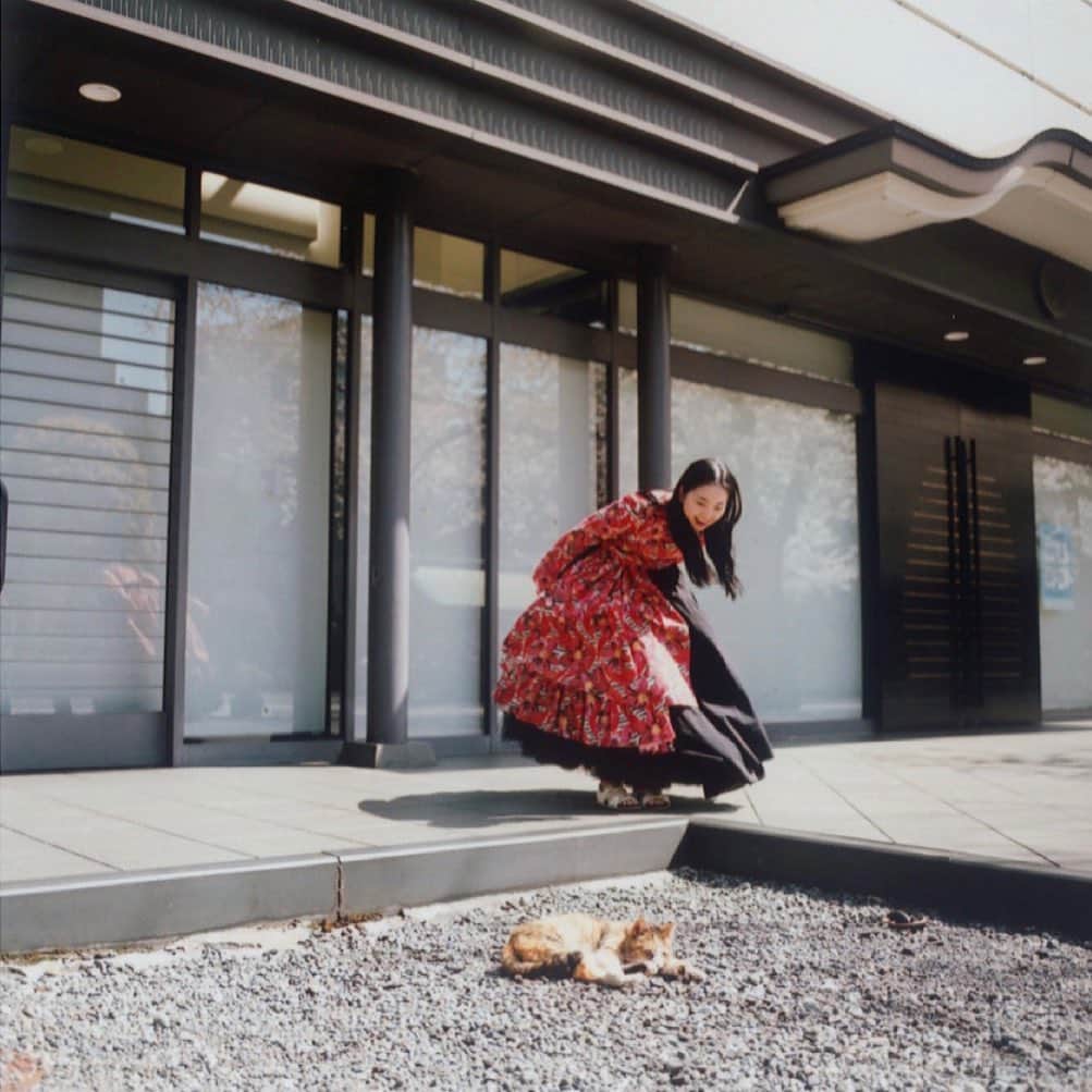 のインスタグラム：「✨ @tfpjp  #kyojitakahashi  photography : Kyoji Takahashi  styling : Kodai Suehiro  hair & make : Yoshikazu Miyamoto  edit : Mahana Hosoda  model : Momoko Fukuchi   高橋恭司さんのファッション連載 シンクロニシティvol.8 に参加させていただきました... 心地よい太陽と風 恵まれた静かな時の流れに 癒しがたくさん詰まっています。  素敵な連載 すてきなページです ✨🙏✨」