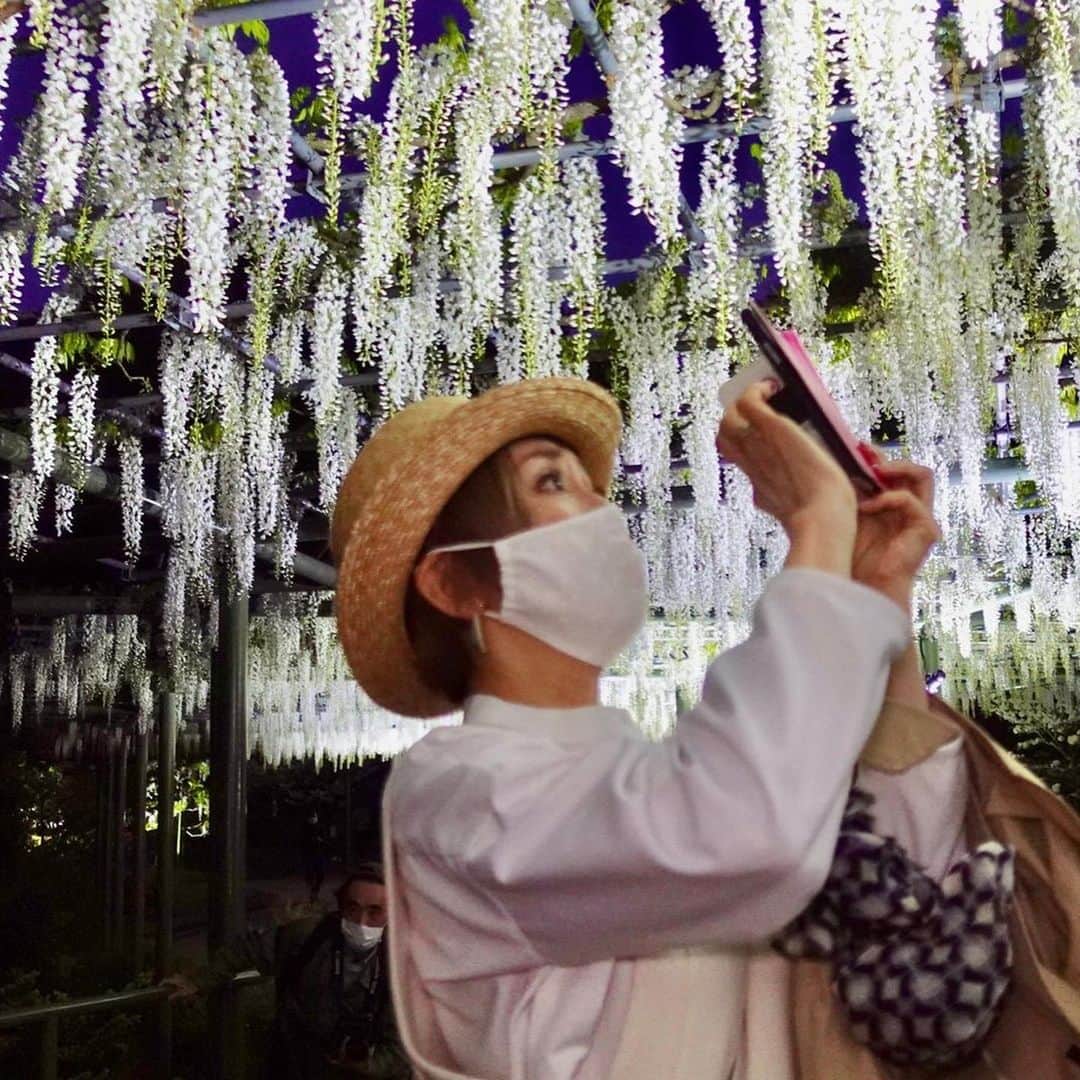 熊谷真実さんのインスタグラム写真 - (熊谷真実Instagram)「浜松フラワーパーク  藤の花に圧倒されてボーゼンとする私。  園長の塚本こなみ先生に説明をしていただきながら、ライトアップの初日を満喫しました。 塚本こなみ先生、ありがとうございます。 丹念に育った藤の花、 私たちを楽しませてくれるためだけに、咲いていてくれている気がします。  塚本こなみ先生の愛の結晶です  わたし、人生で一番お花を見てるような気がします。  浜松に来てよかった。  心が花で満たされていきます  #熊谷真実#塚本こなみ #浜松フラワーパーク#藤の花が#圧巻#感動#言葉にならない#生きててよかった」4月23日 22時33分 - mami_kumagai310