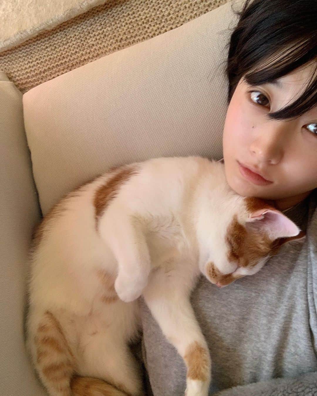飯島望未のインスタグラム：「Miss him🥺💚  #limethecat」