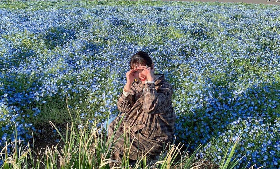 瀬戸初夏のインスタグラム：「💙💙💙」