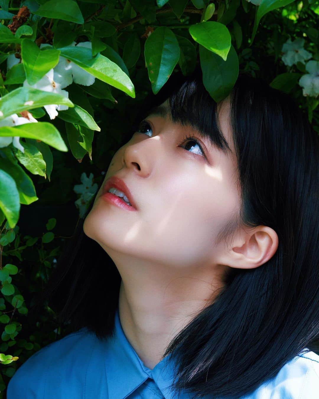 masayuki nittaさんのインスタグラム写真 - (masayuki nittaInstagram)「. 🕊」4月24日 12時16分 - masayuki_nitta