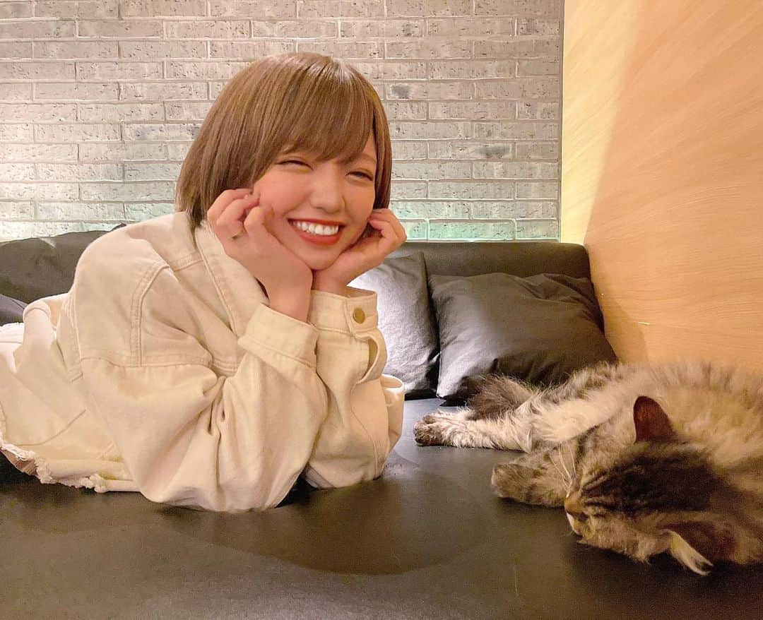 みきでりさんのインスタグラム写真 - (みきでりInstagram)「LOOK HOW HAPPY I AM HERE😹😹💗💗💗 @catcafemocha 私にとっての楽園でございます…🌈 猫ちゃん癒しすぎてこの笑み。笑(2-3枚目) 可愛すぎて話しかける時IQ5くらいしかない👨🏻‍🦲🎊 ㅤ ㅤ ㅤ ㅤ ㅤ ㅤ ㅤ ㅤ #猫カフェ #猫カフェmocha #猫カフェモカ #猫好き #猫派 #スクーカム　#mochaレーズン #ショート#ショートヘア #ショートボブ #ショートカット #ショート女子 #猫様 #catcafe #catcafemocha」4月24日 13時34分 - mikidelicious