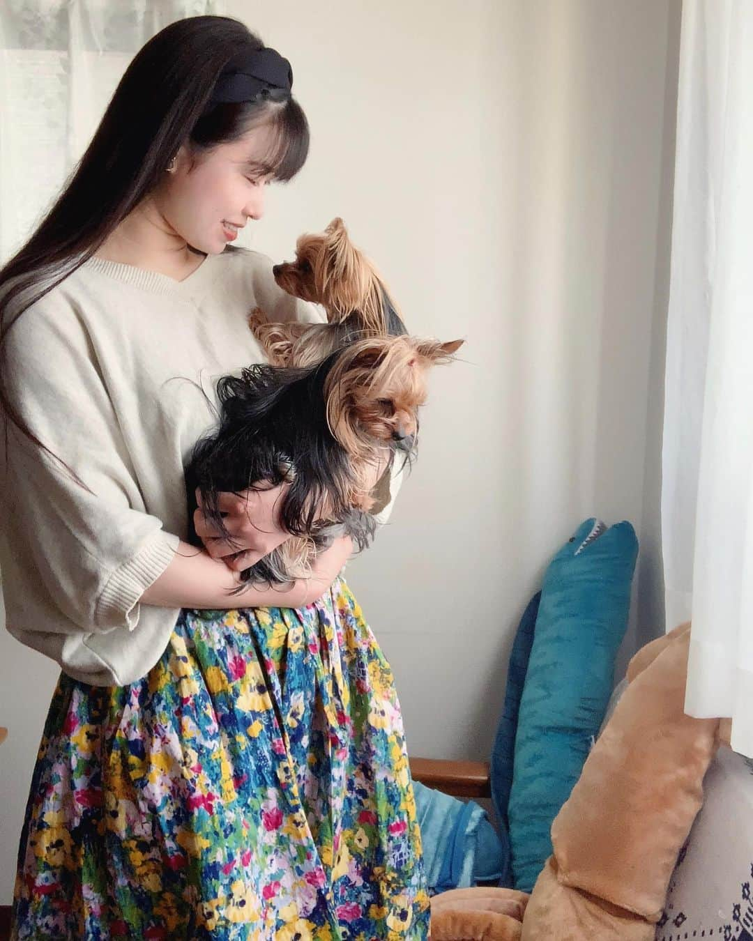 小田飛鳥さんのインスタグラム写真 - (小田飛鳥Instagram)「これから皆で実家に行きます🐕 くぅちゃんはいつも私の話をじーっと聞きます☺︎ #yorkshireterrier #yorkie #yorkshire #dog #dogstagram #犬のいる暮らし #愛犬との暮らし #くぅもも ちゃん」4月24日 15時32分 - asuka_oda_0320